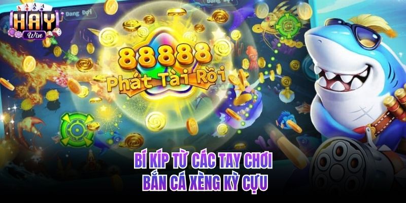 Bí kíp từ các tay chơi bắn cá xèng kỳ cựu