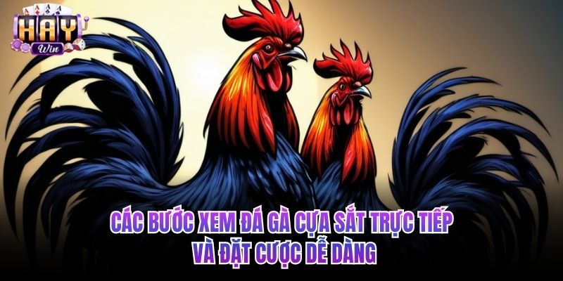 Các bước xem đá gà cựa sắt trực tiếp và đặt cược dễ dàng