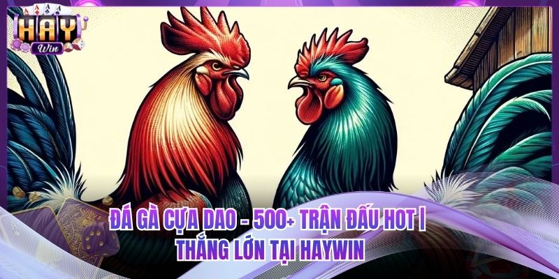 Đá Gà Cựa Dao - 500+ Trận Đấu Hot | Thắng Lớn Tại HAYWIN