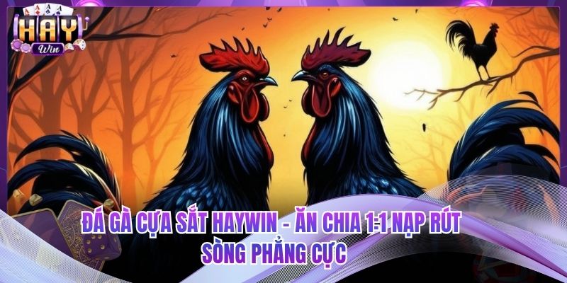 Đá Gà Cựa Sắt HAYWIN - Ăn Chia 1:1 Nạp Rút Sòng Phẳng Cực