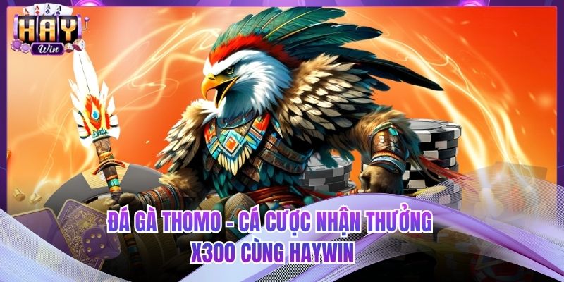 Đá Gà Thomo - Cá Cược Nhận Thưởng X300 Cùng HAYWIN
