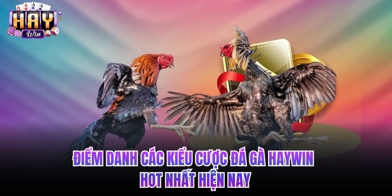 Điểm danh các kiểu cược đá gà HAYWIN hot nhất hiện nay