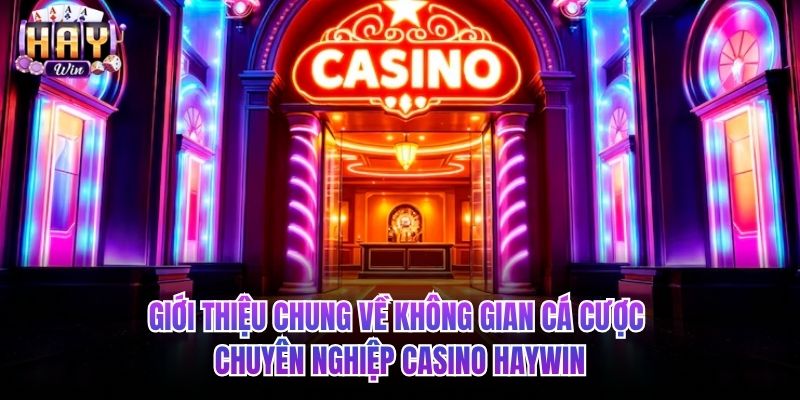 Giới thiệu chung về không gian cá cược chuyên nghiệp Casino HAYWIN