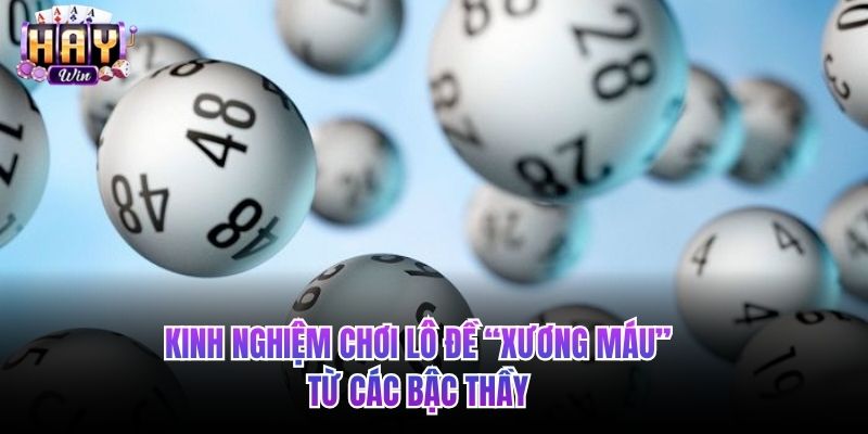 Kinh nghiệm chơi lô đề “xương máu” từ các bậc thầy 