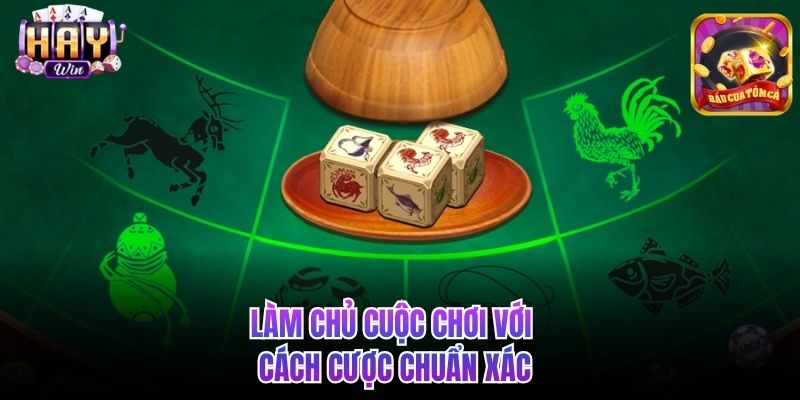 Làm chủ cuộc chơi với cách cược chuẩn xác