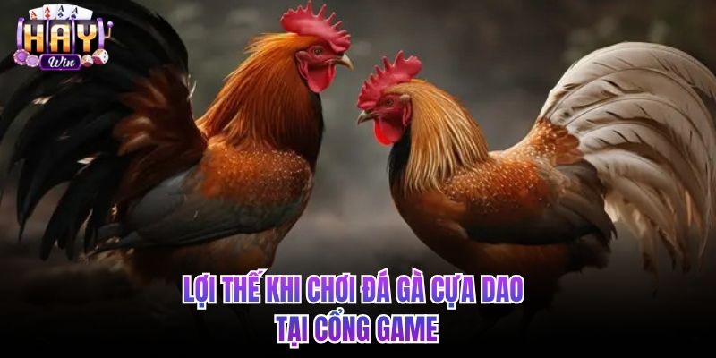 Lợi thế khi chơi đá gà cựa dao tại cổng game