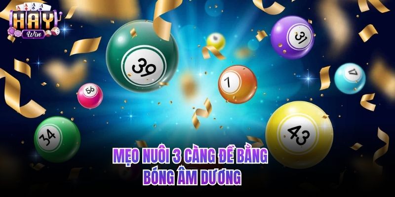 Mẹo nuôi 3 càng đề bằng bóng âm dương