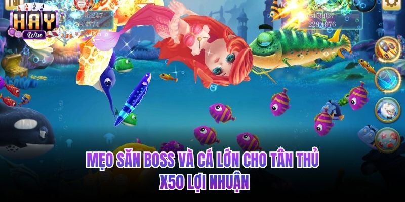 Mẹo săn Boss và cá lớn cho tân thủ x50 lợi nhuận