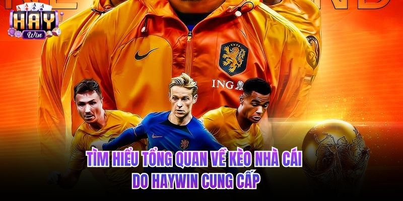 Tìm hiểu tổng quan về kèo nhà cái do HAYWIN cung cấp