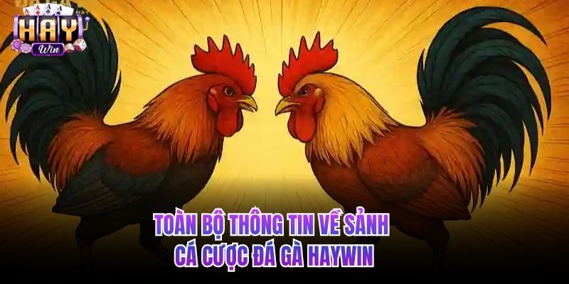 Toàn bộ thông tin về sảnh cá cược đá gà HAYWIN