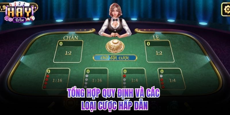 Tổng hợp quy định và các loại cược hấp dẫn