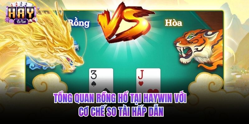 Tổng quan Rồng Hổ tại HAYWIN với cơ chế so tài hấp dẫn