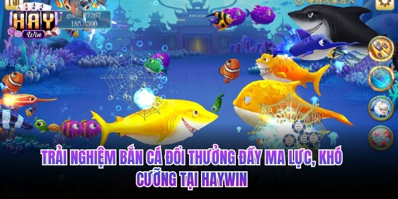 Trải nghiệm bắn cá đổi thưởng đầy ma lực, khó cưỡng tại HAYWIN