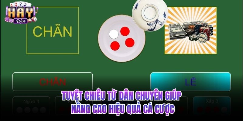 Tuyệt chiêu từ dân chuyên giúp nâng cao hiệu quả cá cược