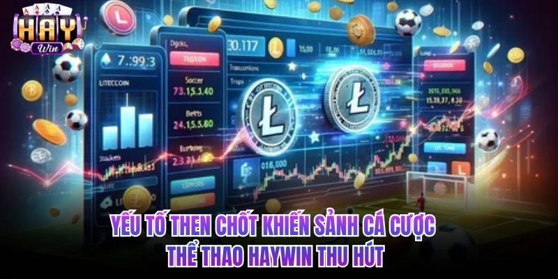 Yếu tố then chốt khiến sảnh cá cược thể thao HAYWIN thu hút