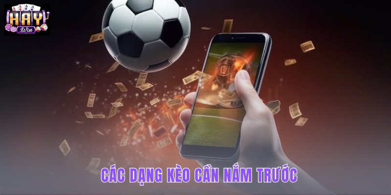 cac-dang-keo-can-nam-truoc cac-dang-keo-can-nam-truoc