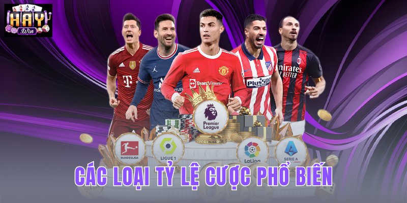 Các Loại Tỷ Lệ Cược Phổ Biến - Cách Tính Odds Tại HAYWIN