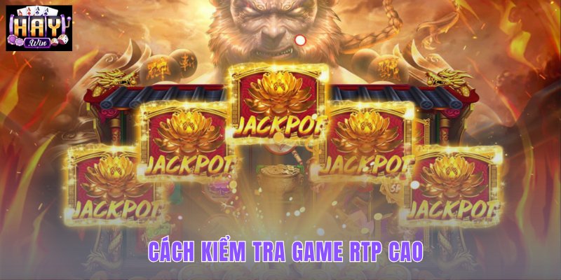 RTP paytable và luật thưởng cần kiểm tra