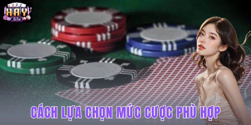 Cách Lựa Chọn Mức Cược Phù Hợp - Theo Vốn Phiên HAYWIN