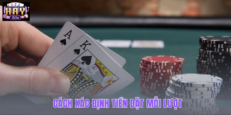 Đơn vị đặt dựa trên quỹ phiên và kinh nghiệm