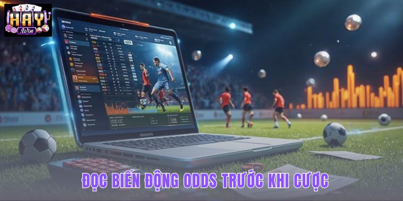 doc-bien-dong-odds-truoc-khi-cuoc