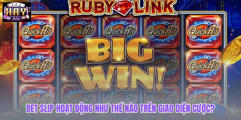 bet-slip-hoat-dong-nhu-the-nao-tren-giao-dien-cuoc