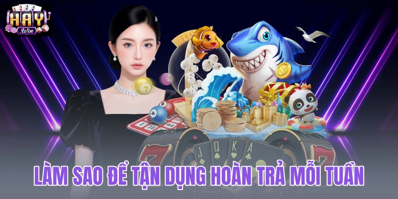 Làm sao để tận dụng hoàn trả mỗi tuần