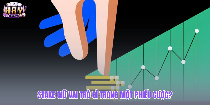 stake-giu-vai-tro-gi-trong-mot-phieu-cuoc