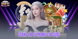 Stake là gì trong cá cược
